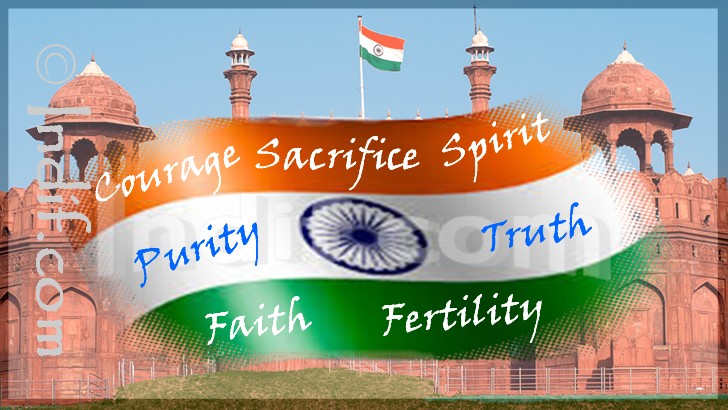 The Indian Flag - Trianga Jhanda