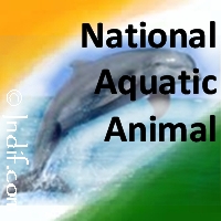 National Aquatic Animal of India - Ganges Whale