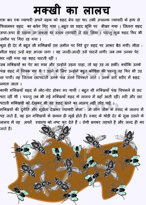 Maakhi ka lalach - hindi story for kids