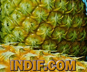 Pineapple_animation