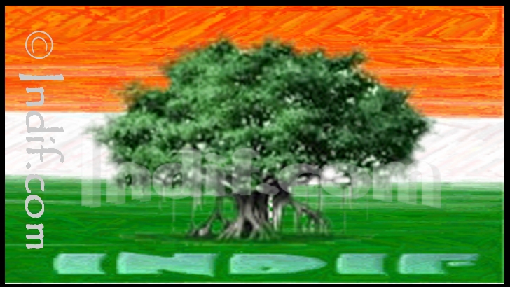 National Tree of India - Banyan