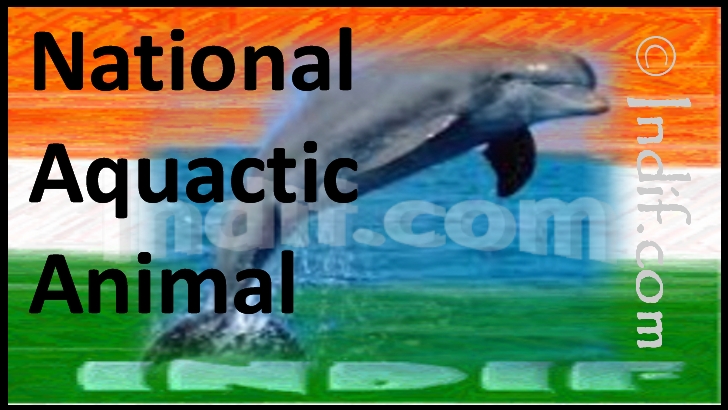indias national aquatic animal