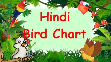 Hindi Birds Chart for kids